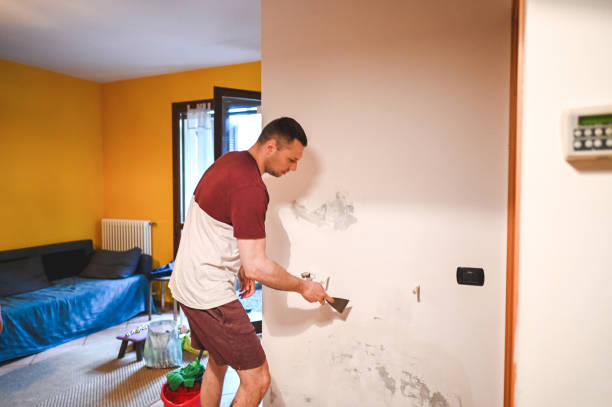 Crawl Space Mold Removal in Mountville, PA